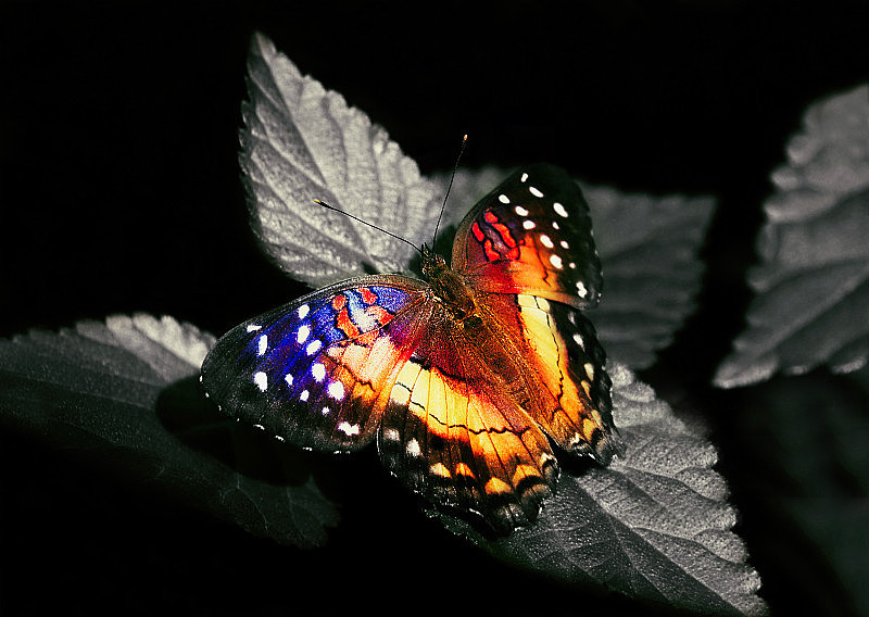 从“戒不掉”到“可复制变现的能力