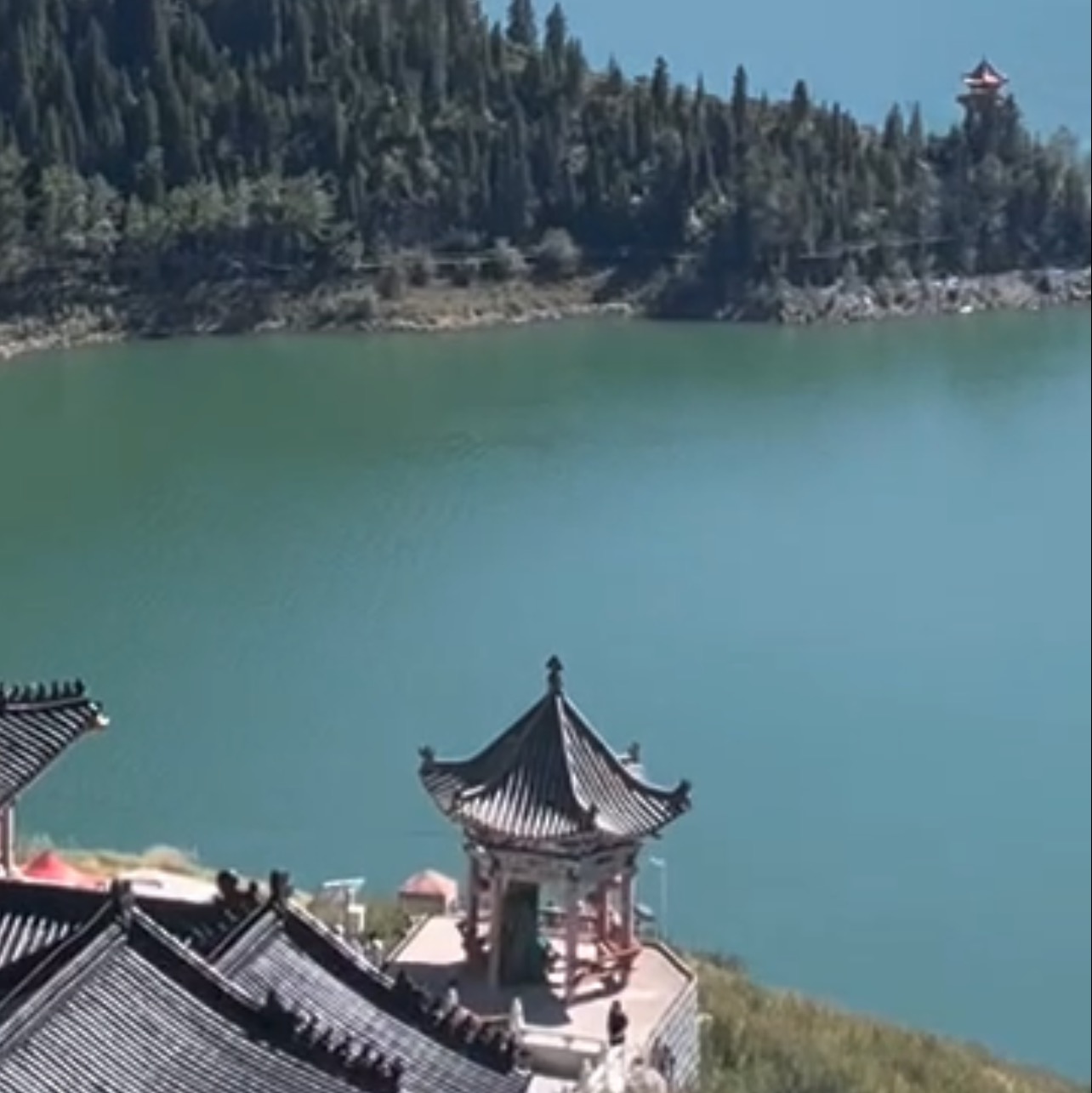 为什么“种生基”曾是帝王将相的秘术